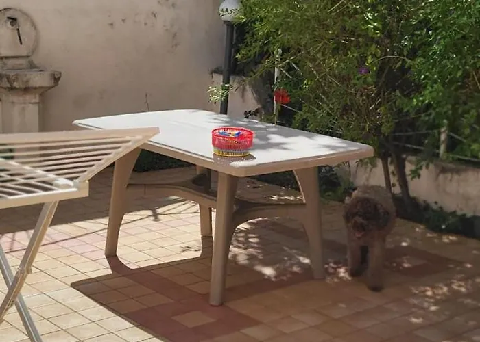 Casa Marina Sul Mare 公寓